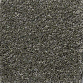 Shaw Floors Magic At Last III 12' Garden Spot SHAW