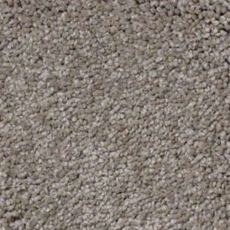 Shaw Floors Magic At Last II 12' Leapfrog SHAW