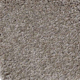 Shaw Floors Magic At Last III 12' Leapfrog SHAW