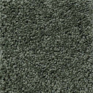 Shaw Floors Keen Senses II Lush Garden SHAW