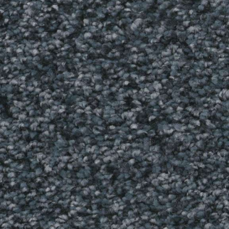 Shaw Floors You Got This II Refined SHAW