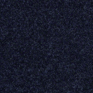 Shaw Floors Briceville Classic 12' Evening Sky SHAW