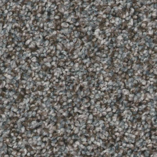 Shaw Floors Renewed Energy I Paris Sky SHAW