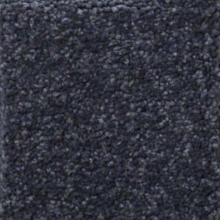 Shaw Floors Sandy Hollow Classic I Dutch Boy SHAW