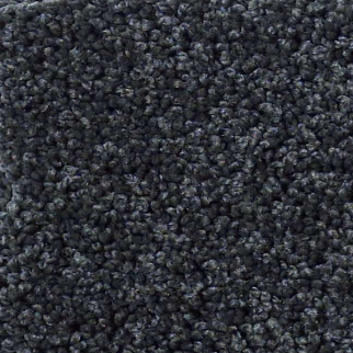 Shaw Floors My Choice III Indigo SHAW