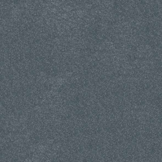 Shaw Floors Hard At Play II 12' Reflection SHAW