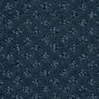 Shaw Floors Infallible Instinct Modern Spaces SHAW