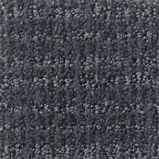 Shaw Floors Sensible Now Royal Navy SHAW