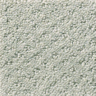 Shaw Floors Infallible Instinct Offshore SHAW