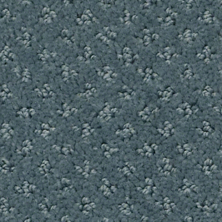 Shaw Floors Infallible Instinct Voyage SHAW