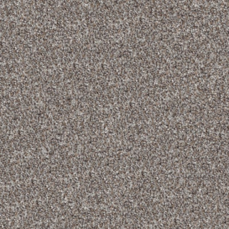 Shaw Floors Elevated II River Rock SHAW