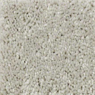 Shaw Floors Well Played II 12 Sheer Silver SHAW