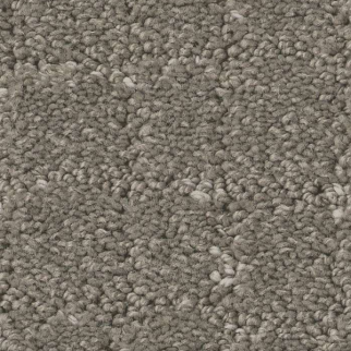 Shaw Floors Block Party Ashes SHAW