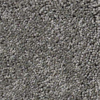 Shaw Floors My Choice II Grey Flannel SHAW