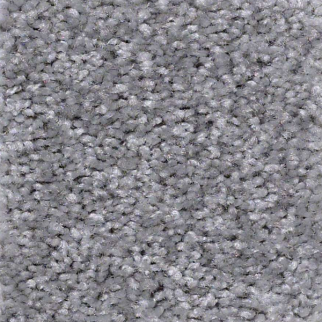 Shaw Floors Instant Winner Waterford SHAW