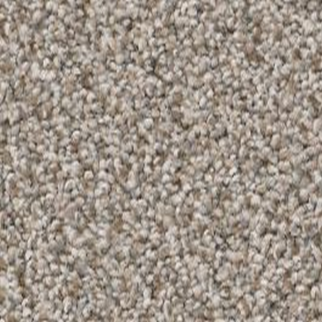 Shaw Floors True Spirit 15 Lady Liberty SHAW