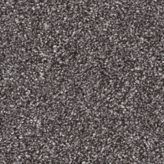 Shaw Floors Yes You Can II 12' Shadow SHAW