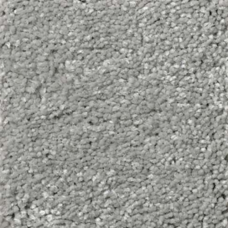 Shaw Floors Solidify I 12 Dustry Trail SHAW