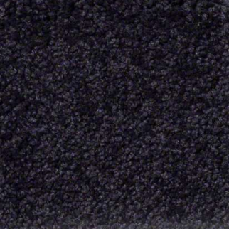 Shaw Floors Sandy Hollow Classic I Graphite SHAW