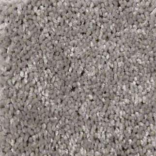 Shaw Floors Well Played II 12 Thunder SHAW