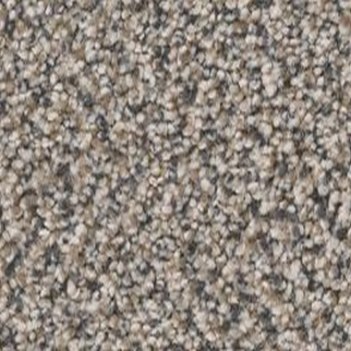 Shaw Floors True Spirit 15 Concrete SHAW