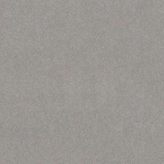 Shaw Floors Hard At Play I 12' Rock Crystal SHAW