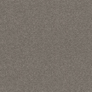 Shaw Floors Shake It Up (S) Cement SHAW