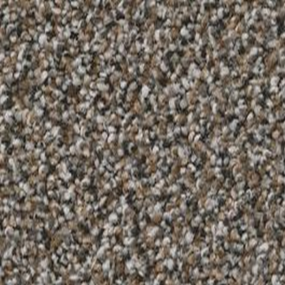 Shaw Floors True Spirit 15 City Space SHAW