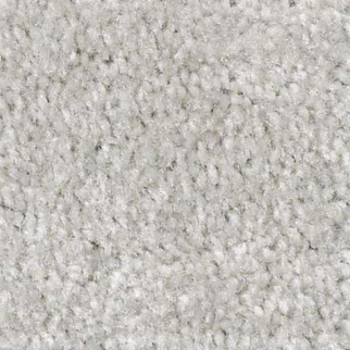 Shaw Floors Zipp Conifer SHAW