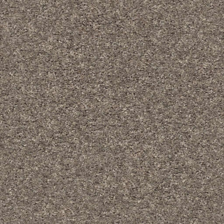 Shaw Floors Shake It Up (S) Mountain Top SHAW