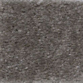 Shaw Floors Zipp Blair SHAW