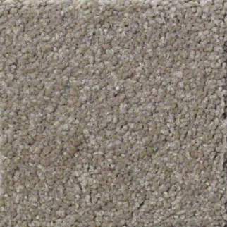 Shaw Floors Sandy Hollow Classic II Wood Smoke SHAW