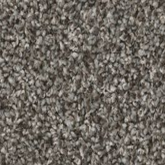 Shaw Floors Shake It Up (T) 15 Hammerhead SHAW