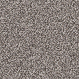 Shaw Floors Remixed Classic Mineral SHAW