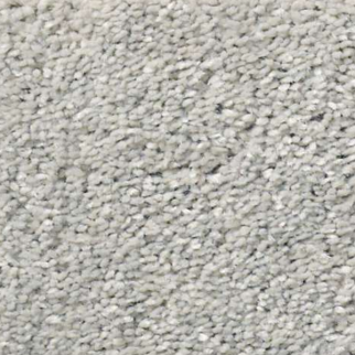 Shaw Floors After All II Shadow SHAW