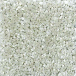 Shaw Floors Play Hard Arctic SHAW