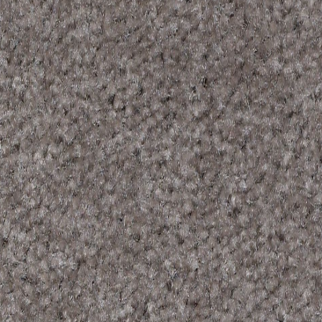 Shaw Floors XV071 Castle Rock SHAW