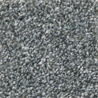 Shaw Floors Cabana Life Tweed Mountain Path SHAW