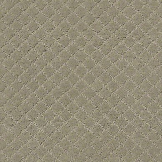 Tuftex Pawnache Gray Mitage SHAW