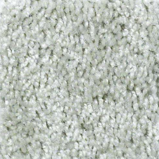 Shaw Floors Play Hard Alluring SHAW