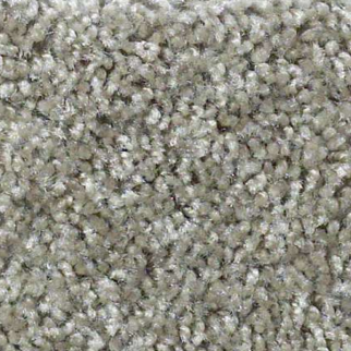 Shaw Floors Play Hard Celtic SHAW