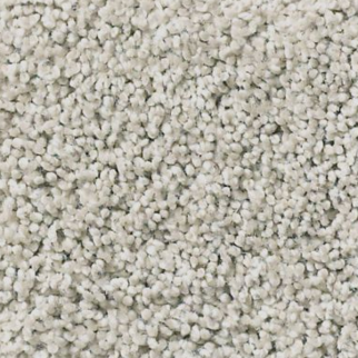 Tuftex Acadia Park Silver Screen SHAW