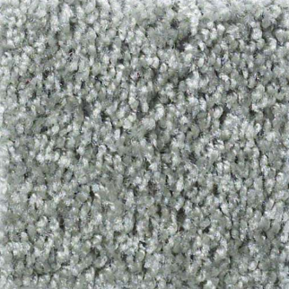 Shaw Floors Play Hard Gracious SHAW