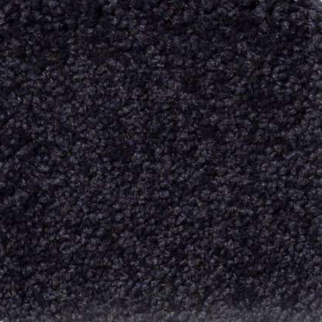 Shaw Floors Magic At Last II 12' Midnight SHAW