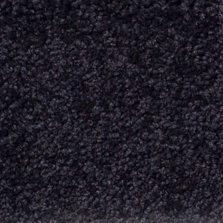 Shaw Floors Magic At Last I 12' Midnight SHAW