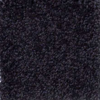 Shaw Floors Magic At Last II 15' Midnight SHAW