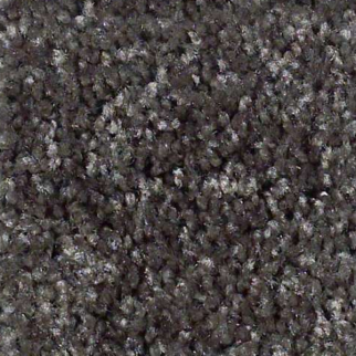 Shaw Floors Play Hard Arbor SHAW