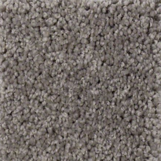 Tuftex Serendipity I Titanium SHAW