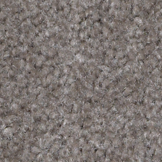 Shaw Floors Zipp Plus Flint SHAW