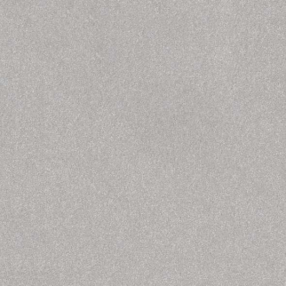 Shaw Floors Hard At Play I 15' Lilac Gray SHAW